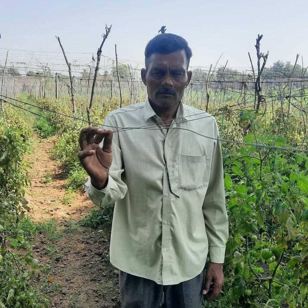 ખેડાસાના ખેડૂત પ્રવિણભાઈએ બનાવી 10 પર્ણિય જૈવિક દવા, રાસાયણિક ખર્ચમાંથી મુક્તિ