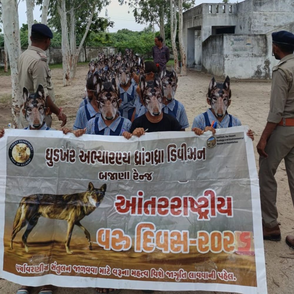 પાટડીની ગોરીયાવડ શાળામાં વિશ્વ વરુ દિવસની ઉજવણી:વન્યજીવોના સંરક્ષણ માટે વિદ્યાર્થીઓને જાગૃત કરાયા