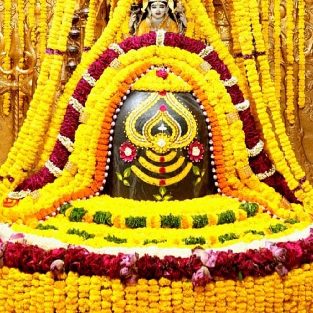 શ્રાવણ શુક્લ પ્રતિપદાએ સોમનાથ મહાદેવનો પીળા પુષ્પોનો શૃંગાર:પાવન પર્વે ગર્ભગૃહમાં અલૌકિક નજારો; પીળો રંગ જ્ઞાન, પ્રકાશનું પ્રતીક