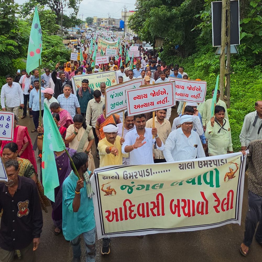 ઉમરપાડામાં જંગલ જમીન દબાણ મુદ્દે આદિવાસીમાં આક્રોશ:સાગબારાના ખેડૂતો દ્વારા ગેરકાયદે ખેડાણ થતું ગંભીર આક્ષેપ; મામલતદારને આવેદન આપી ઉગ્ર આંદોલનની ચીમકી