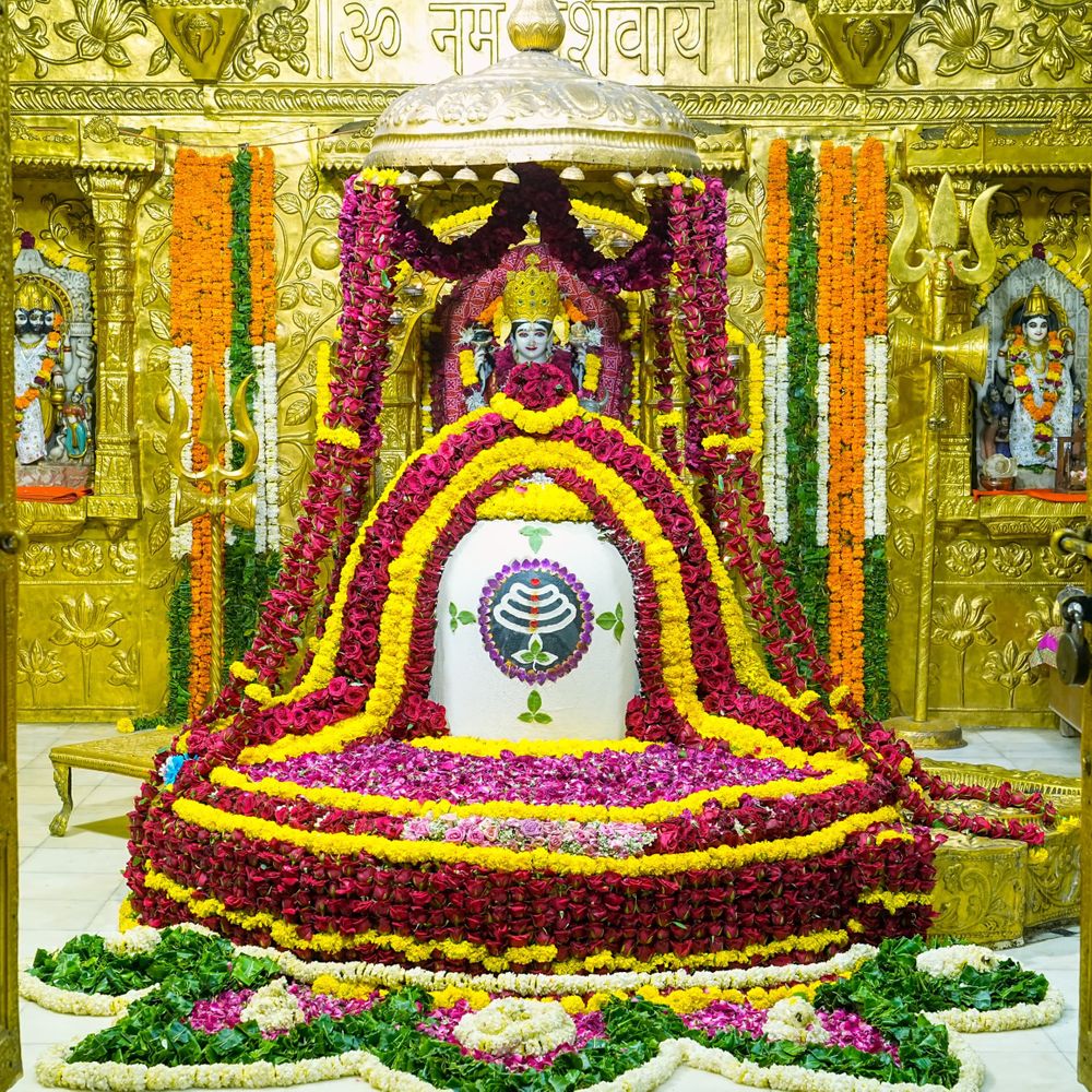 સોમનાથ મહાદેવનો ભસ્મ અને લાલ પુષ્પોથી અલૌકિક શૃંગાર:શ્રાવણ સુદ ચોથ નિમિત્તે 101 કિલોથી વધુ પુષ્પોનો ઉપયોગ, દર્શન કરી ભક્તો ભાવવિભોર