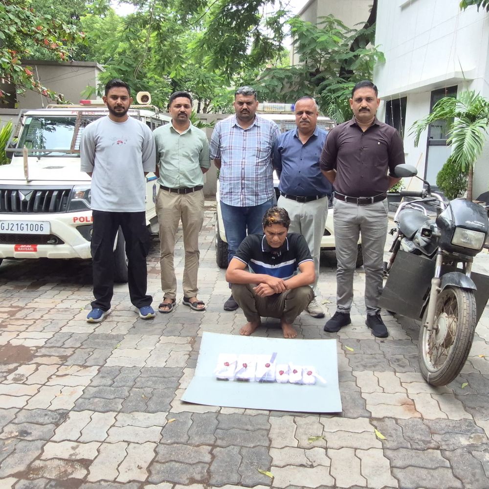 બીલીમોરામાં રીઢો તસ્કર ઝડપાયો:LCBએ ₹10.06 લાખના મુદ્દામાલ સાથે 4 ગુના ઉકેલ્યા