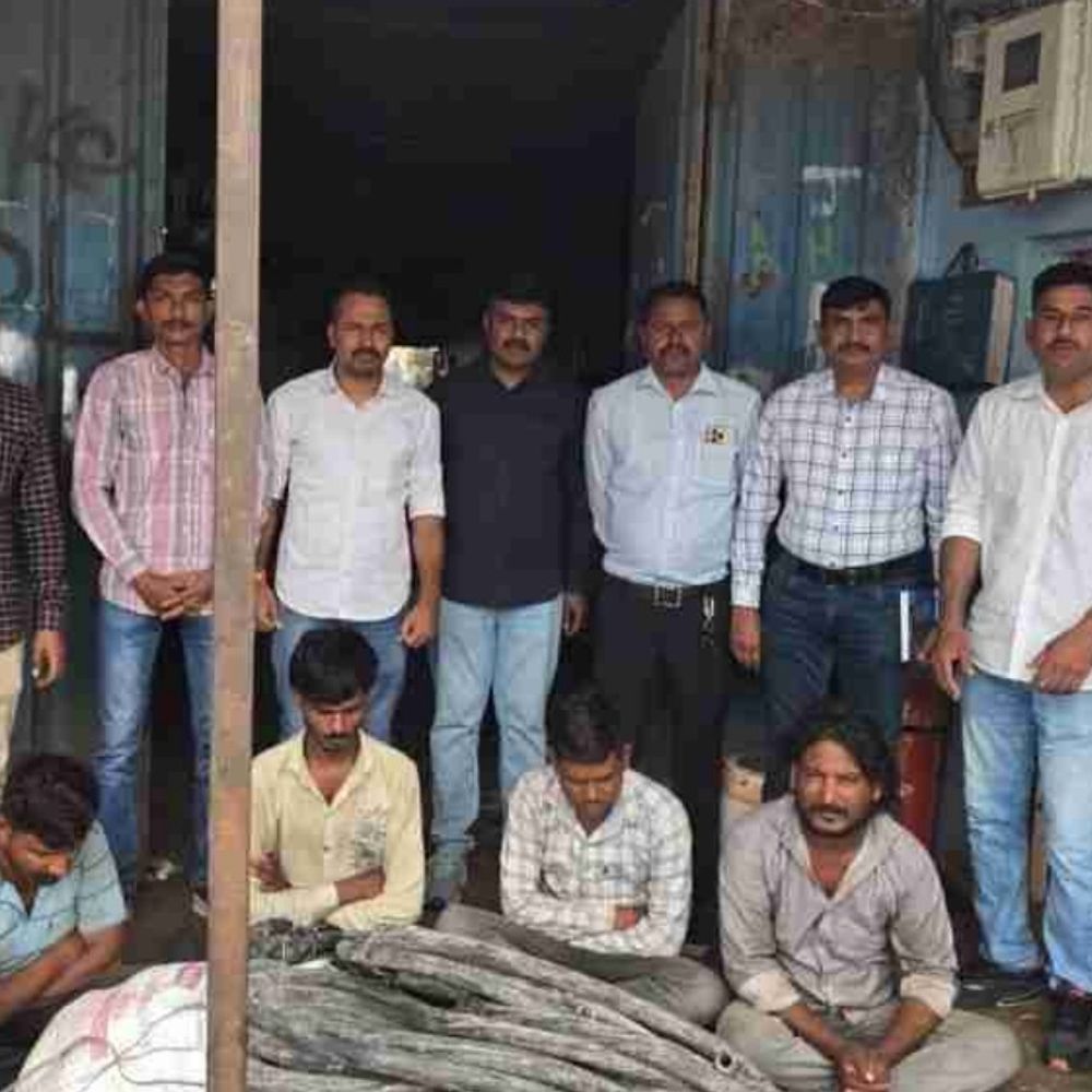 LCBએ પવનચક્કી કોપર વાયર ચોર ગેંગનો પર્દાફાશ કર્યો:ચાર ઝડપાયા, છ ફરાર; ₹16.54 લાખનો મુદ્દામાલ જપ્ત