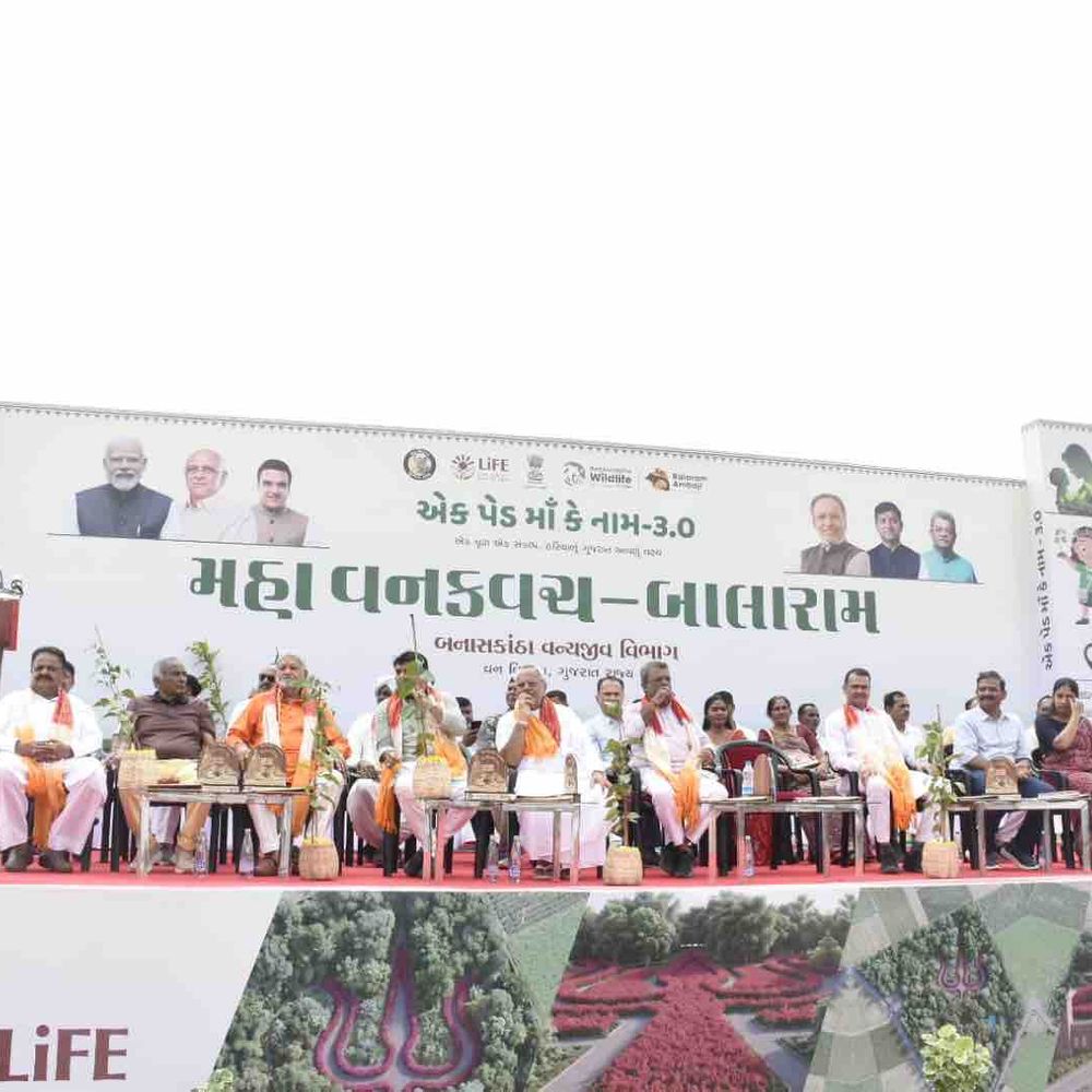 બાલારામ મહાદેવ મંદિર નજીક 10 હેક્ટરમાં બનશે ‘મહા વન કવચ’:ત્રિશૂળ અને બિલીપત્ર થીમ પર નિર્માણ; 74થી વધુ મહત્વપૂર્ણ વૃક્ષ પ્રજાતિઓનું વાવેતર કરાશે