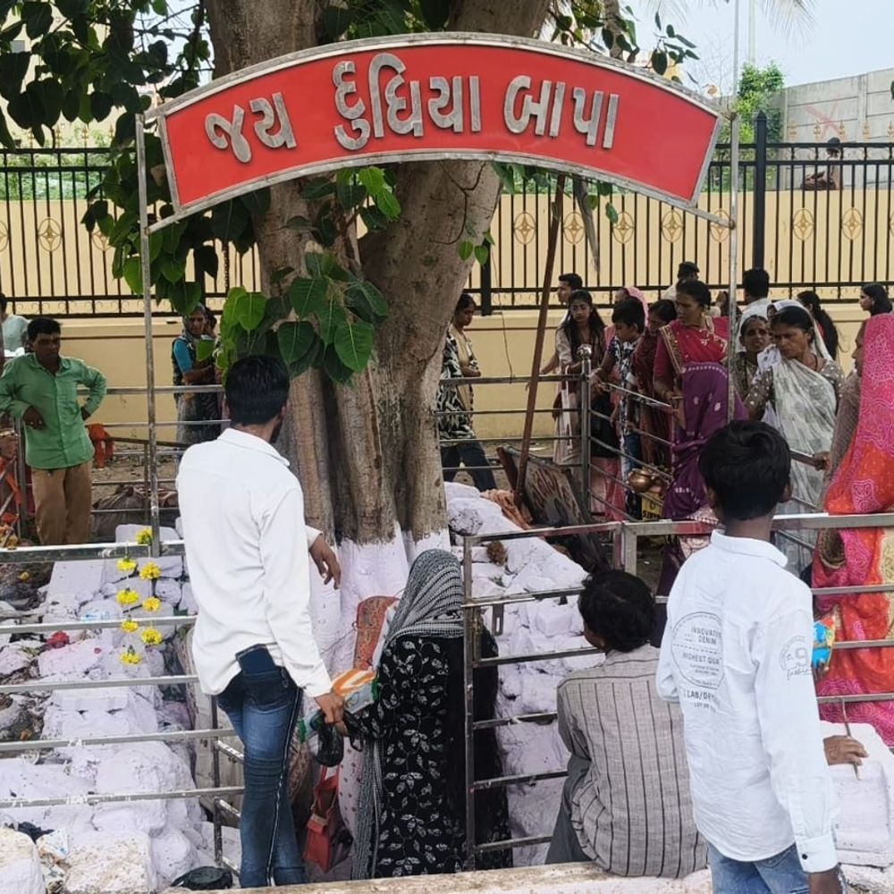 સોમનાથ-પ્રભાસપાટણમાં નાગપંચમીએ દૂધિયા નાગદેવતાને અભિષેક:શ્રદ્ધાળુઓની લાંબી કતારો, સોડશોપચાર પૂજા-હવન યોજાયો