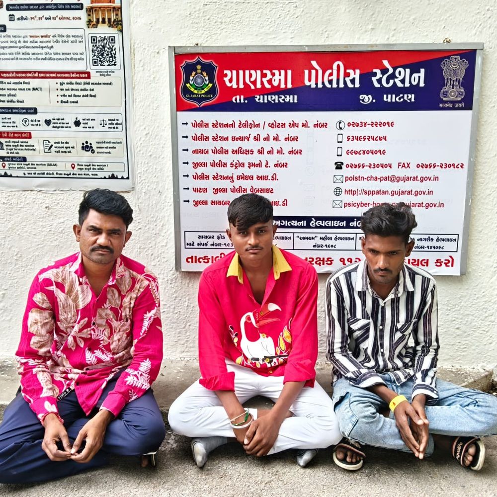 ચાણસ્મામાં મોબાઈલ કંપનીના કેબલ વાયરની ચોરી કરનાર 3 ઝડપાયા:નેટવર્ક માટેના અંડરગ્રાઉન્ડ કામ દરમિયાન કેબલની ચોરી કરી હતી