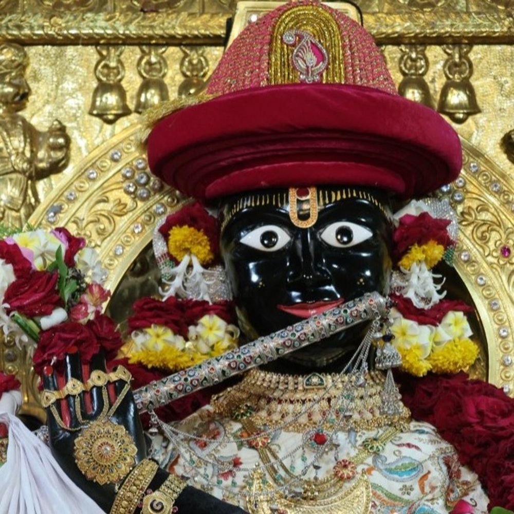 ગઢડા મંદિરે ગોપીનાથજીને વિશેષ વાઘાનો શણગાર:આચાર્ય રાકેશપ્રસાદજીના જન્મદિને વિશેષ ઉત્સવ ઉજવાયો
