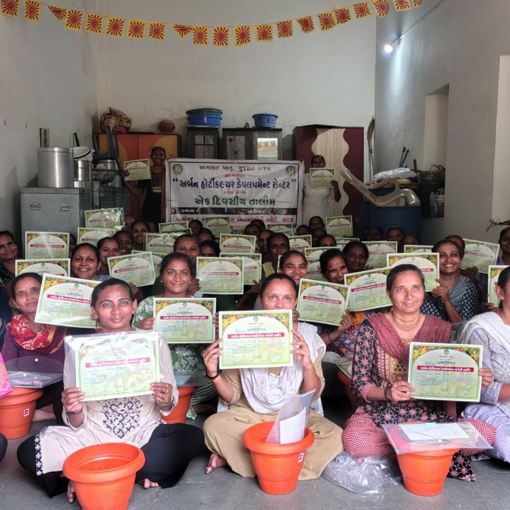 પાટણમાં કિચન ગાર્ડન તાલીમ યોજાઈ:ઘરઆંગણે તાજા, રસાયણમુક્ત શાકભાજી ઉગાડવા માર્ગદર્શન અપાયું