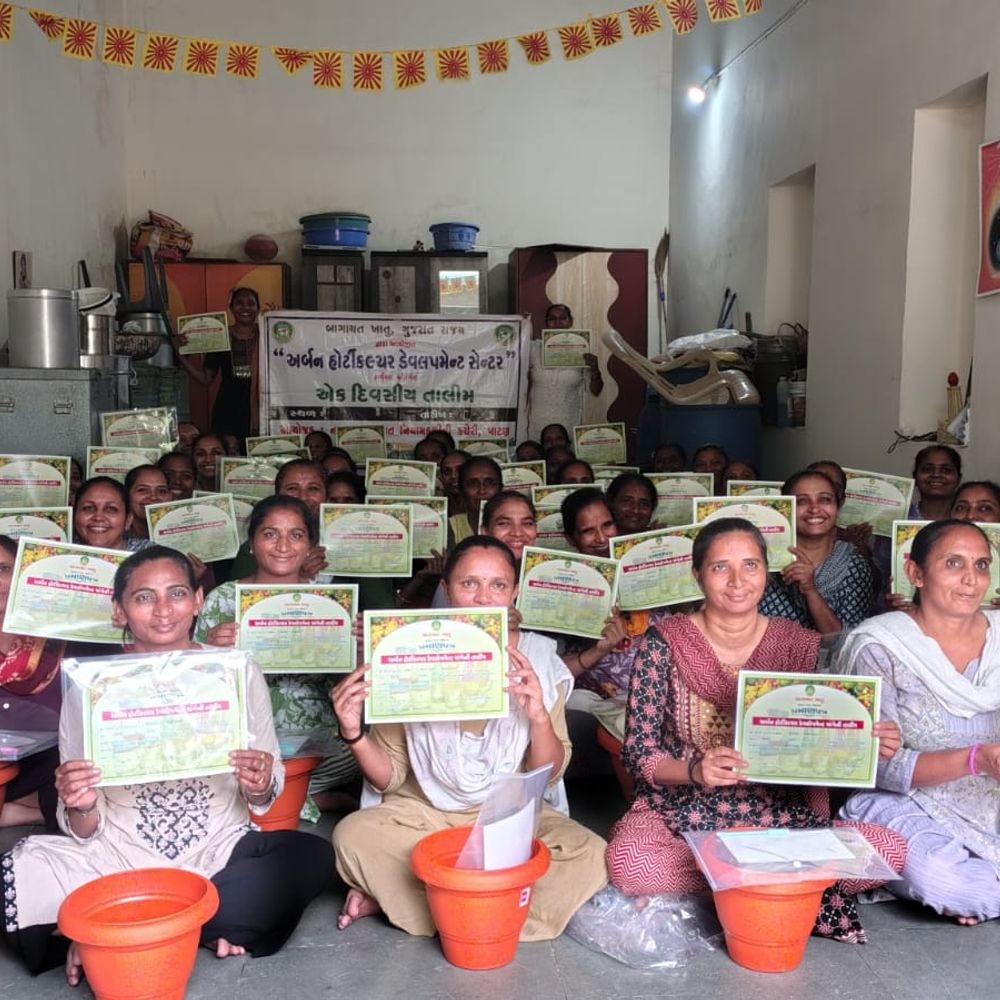 પાટણ બાગાયત કચેરી દ્વારા કિચન ગાર્ડન તાલીમ, પરિવારો ઘરે જ ઉગાડશે કેમિકલમુક્ત શાકભાજી