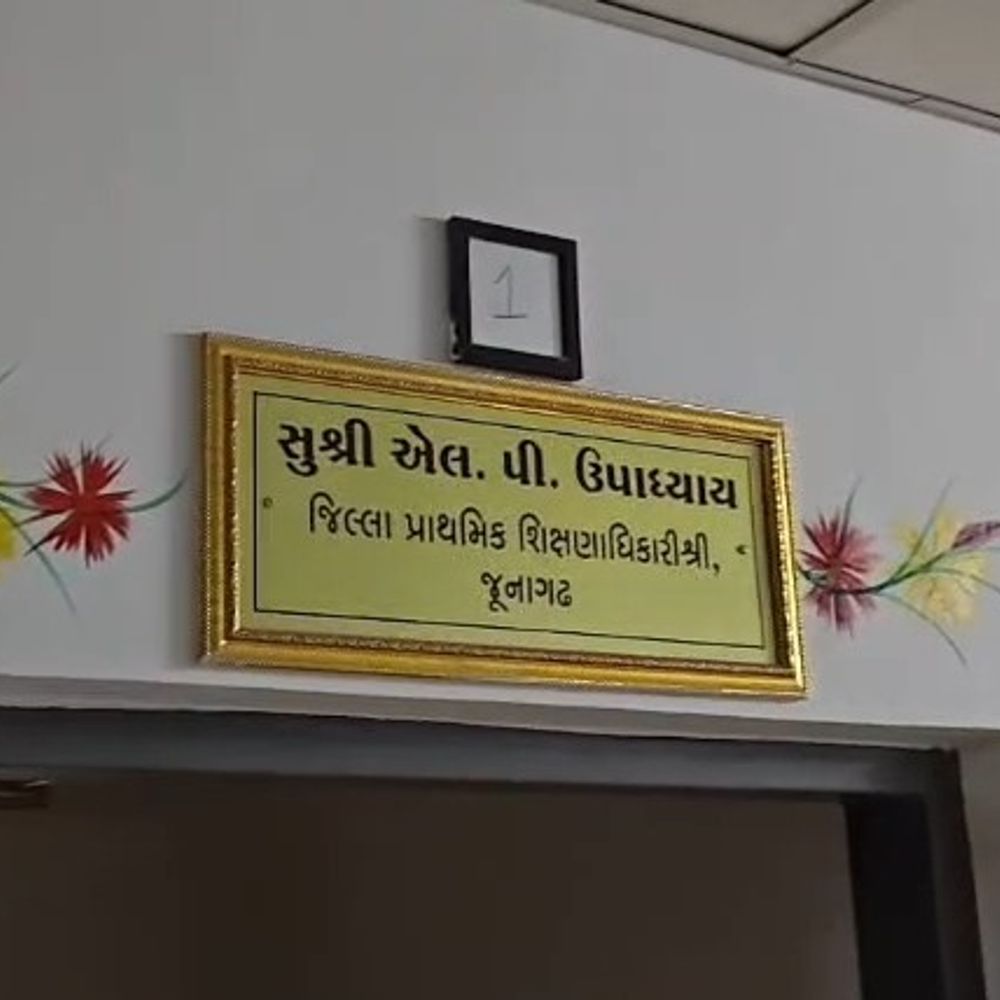 નકલી CCC સર્ટિફિકેટના મેળવનારા 14 શિક્ષકો સામે કડક કાર્યવાહી:જૂનાગઢ જિલ્લામાં 14 શિક્ષકોના સીસીસી સર્ટિફિકેટ બોગસ નીકળ્યા, ઉચ્ચતર પગાર રદ કરી ઇન્ક્રીમેન્ટ રોકવા સહિત નાણાંની રિકવરીનો આદેશ
