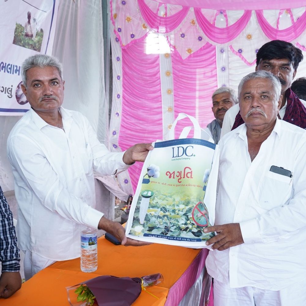 LDC એ સૌરાષ્ટ્રના ગામોમાં 7500 ફેરોમોન ટ્રેપ્સનું વિતરણ કર્યું:ગુલાબી ઈયળ નિયંત્રણ માટે કપાસના ખેડૂતોને વિનામૂલ્યે અપાયા