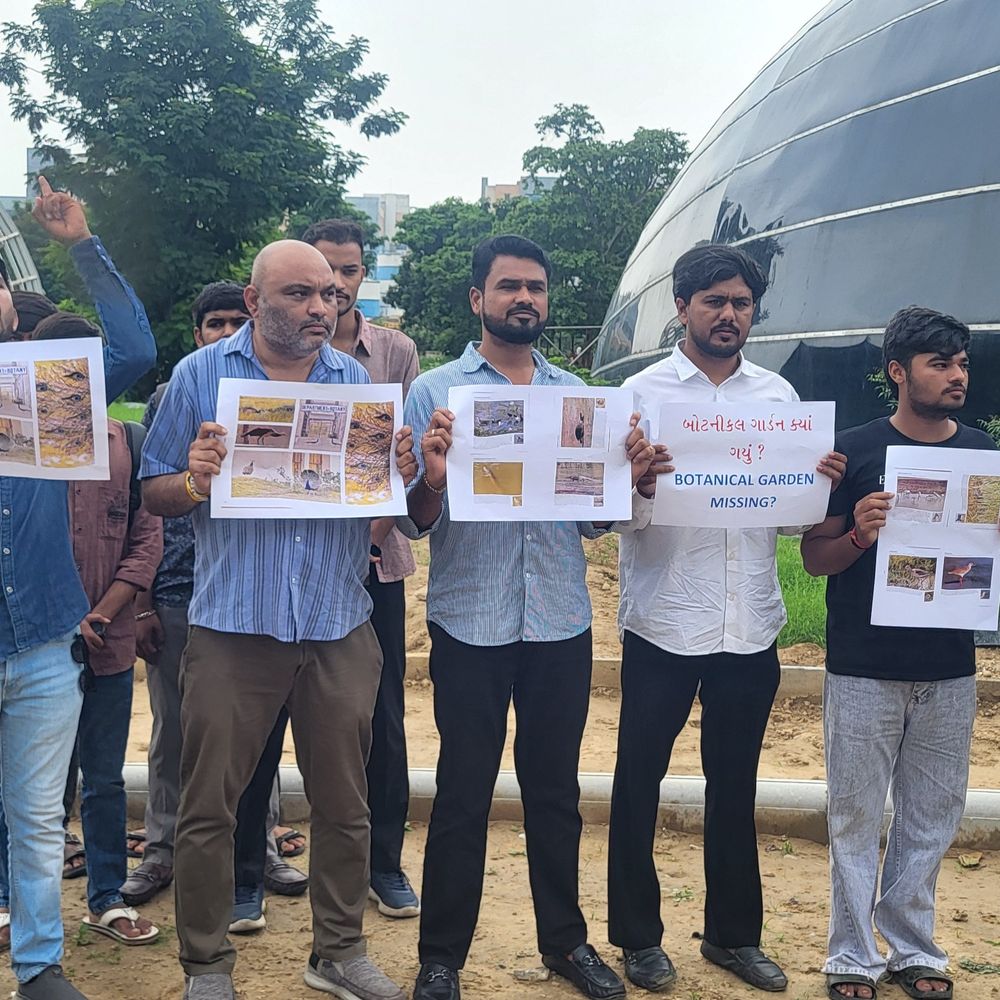 ગુજરાત યુનિ.માં બે પૂર્વ કુલપતિઓએ ગાર્ડન-તળાવ ગાયબ કર્યું:બોટનિકલ ગાર્ડન પર બુલડોઝર ફેરવ્યું, ડોમ બનાવવા 24 કરોડનો ધૂમાડો; કોંગ્રેસના કઠવાડીયાનો આક્ષેપ