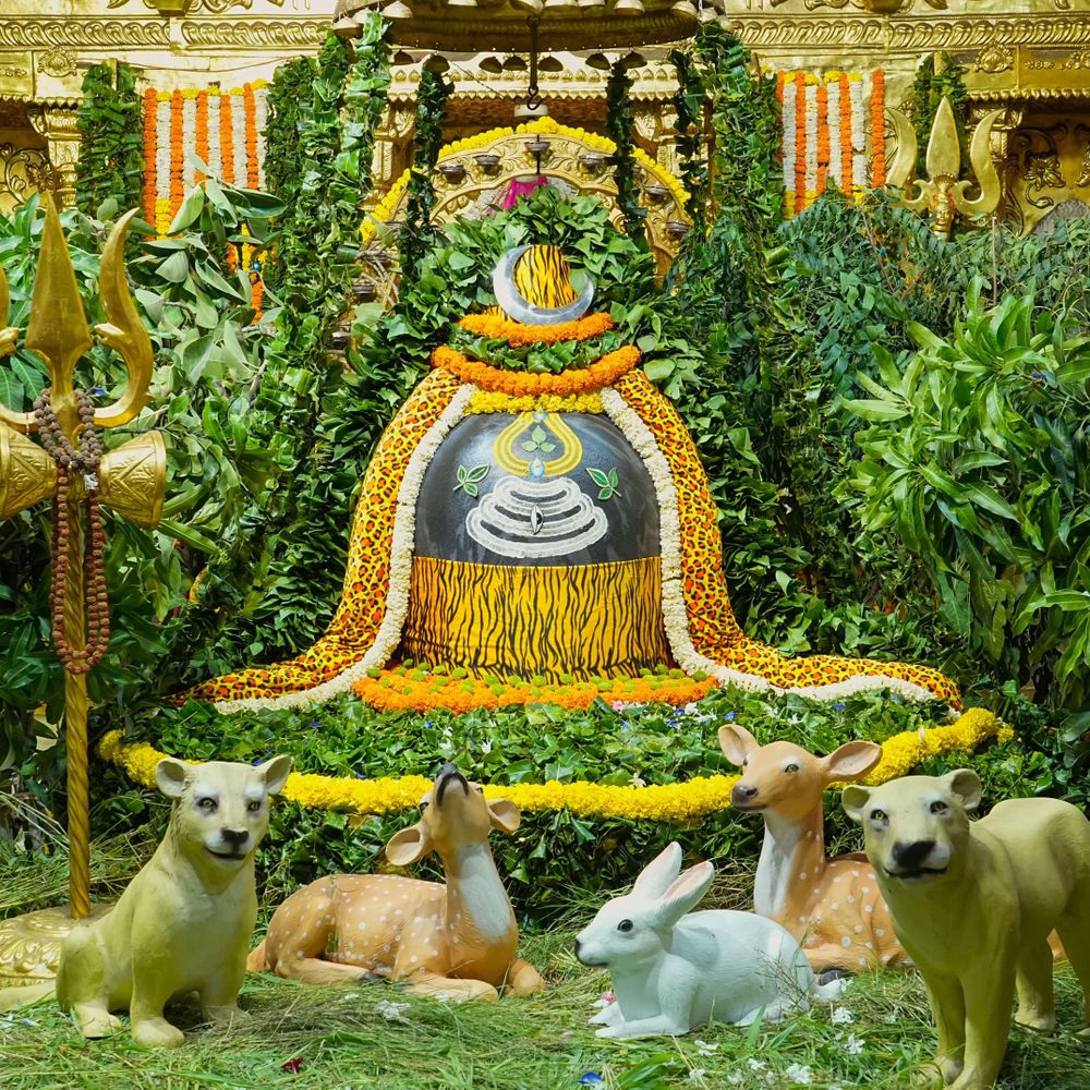 શ્રાવણ સુદ નોમે સોમનાથ મહાદેવને અલૌકિક ‘હરિયાળી દર્શન શૃંગાર’:111કિલો વનસ્પતિઓથી ગર્ભગૃહમાં પ્રકૃતિ જેવું દિવ્ય વાતાવરણ
