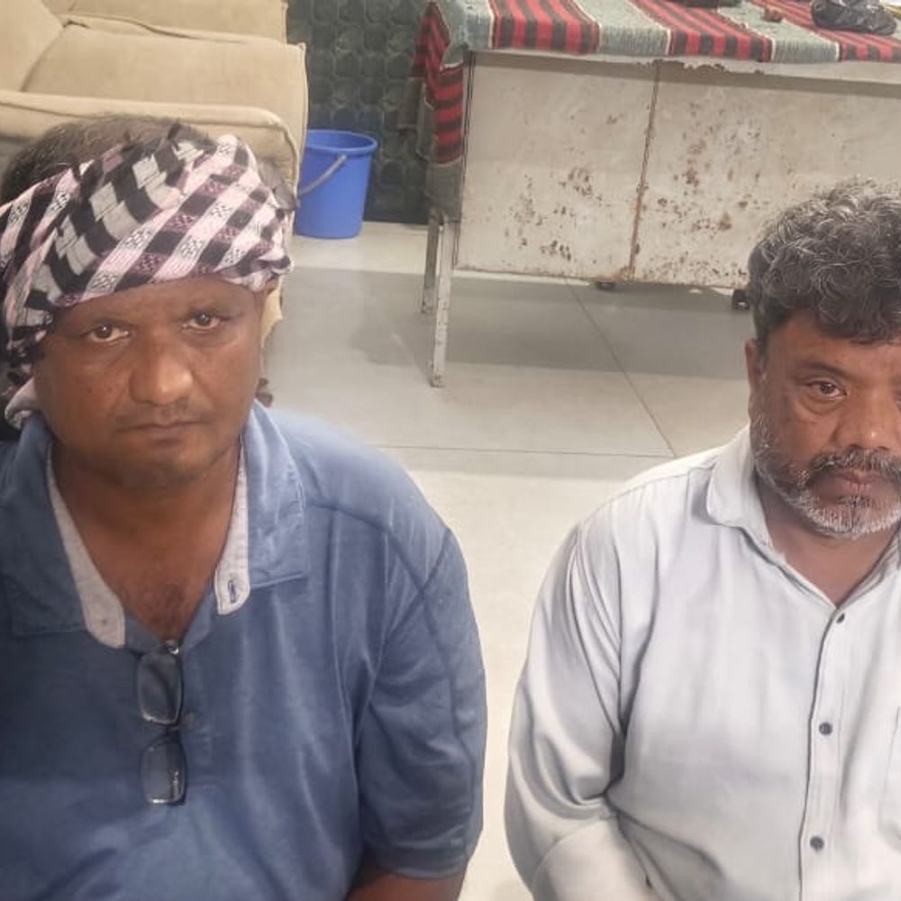 જૂનાગઢ માર્કેટિંગ:"હું યાર્ડનો કિંગ છું' કહી વેપારીઓ પાસેથી મફતના માલ લેતા બે ભાઈઓ સામે અંતે ફરિયાદ, અટક થઇ