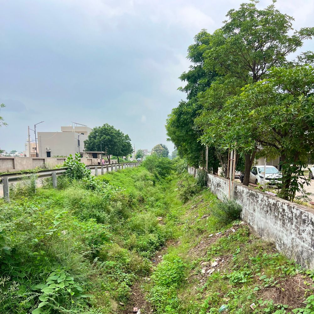 મોડાસાની માઝૂમ કેનાલમાં ગંદકી અને જીવાતનો ઉપદ્રવ, 10 થી વધુ સોસાયટીઓ પરેશાન