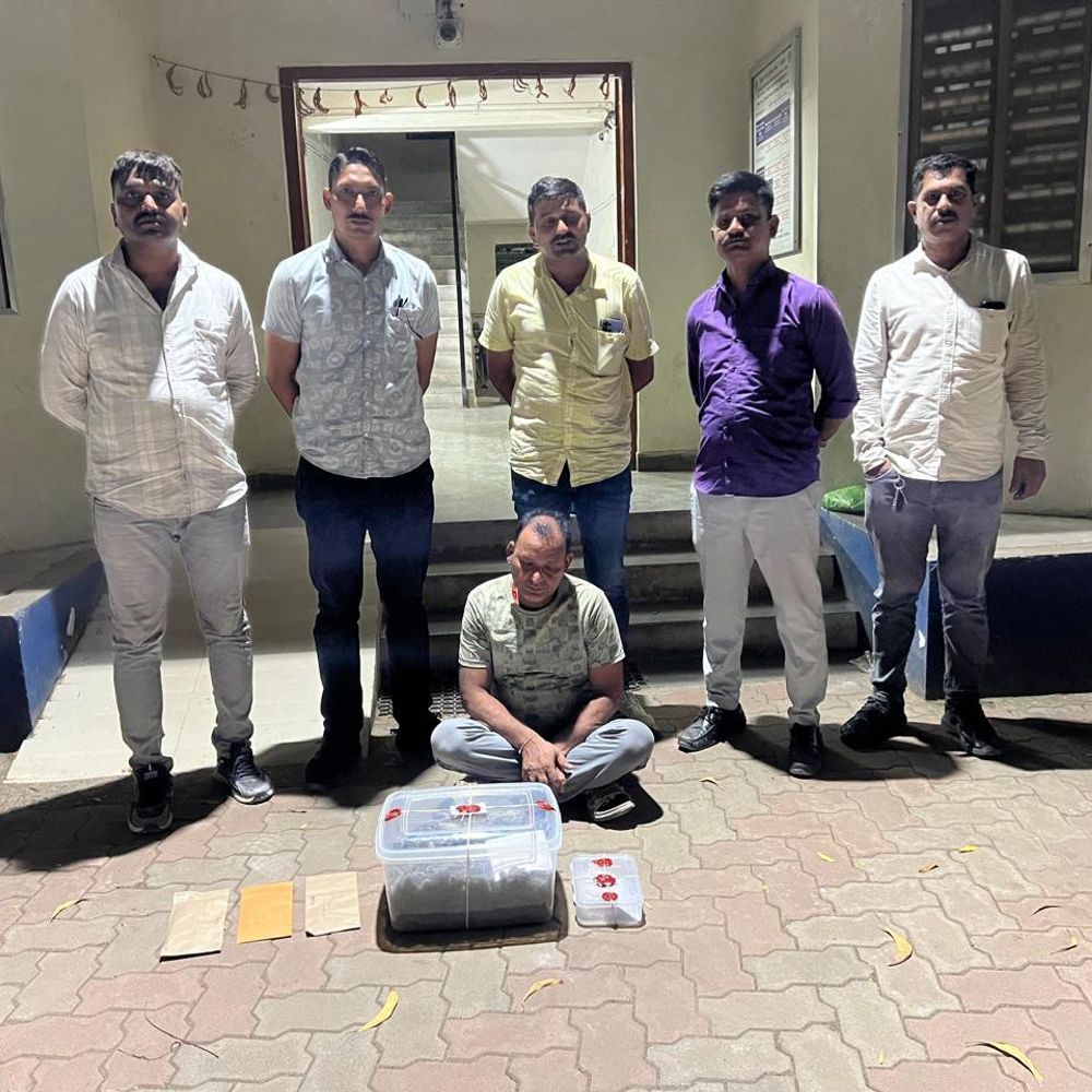 મોરબીમાં સિરામિક ફેક્ટરીમાંથી 1.8 કિલો ગાંજો ઝડપાયો:SOGએ લેબર ક્વાર્ટરમાંથી એક શખ્સને 98 હજારના મુદ્દામાલ સાથે પકડ્યો