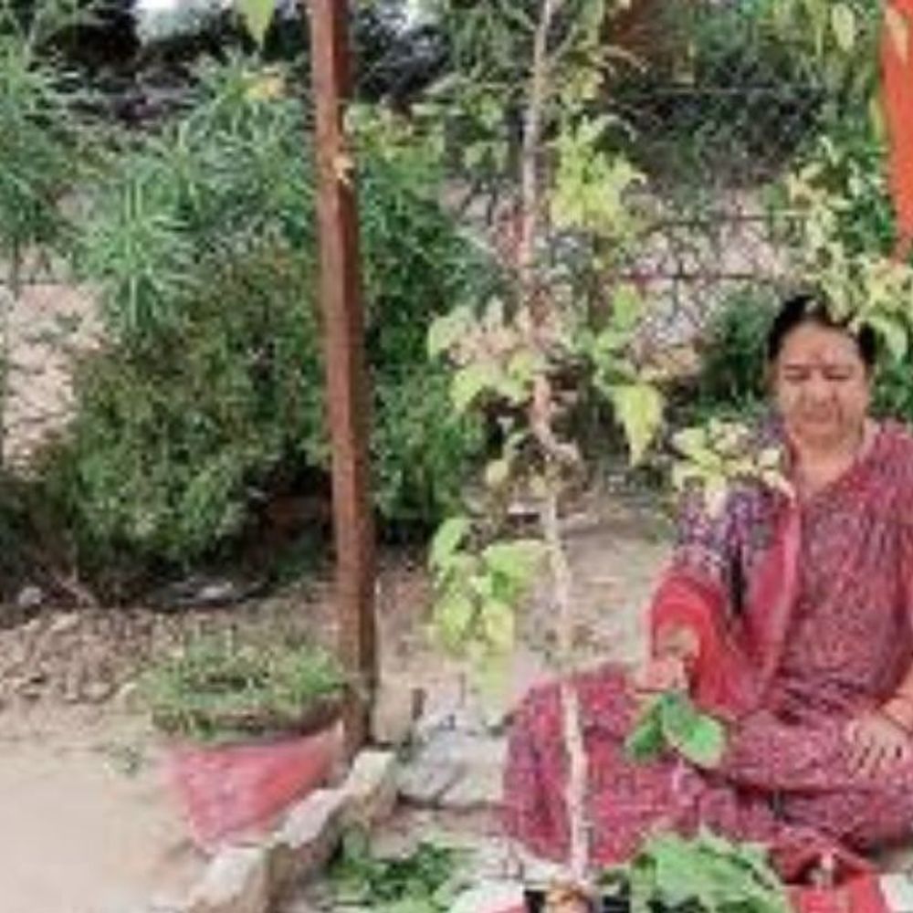 શંખેશ્વર-ખંડિયા વચ્ચે 20 વર્ષથી શ્રાવણ સાધના:રોજ તળાવની માટીથી 1008 પાર્થેશ્વર અને સાંજે વિસર્જન
