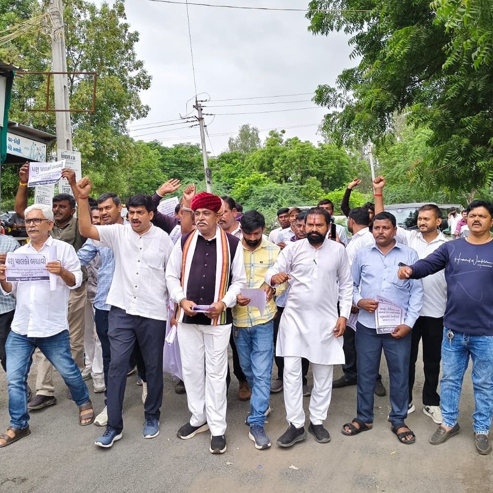 સુરેન્દ્રનગરમાં પશુપાલકોની માંગણીઓ અંગે AAP દ્વારા આવેદનપત્ર:10 દિવસનું અલ્ટીમેટમ પશુપાલકોના હિતમાં તાત્કાલિક નિર્ણય લેવાની માંગ સાથે આવેદનપત્ર સબમિટ કરાયું