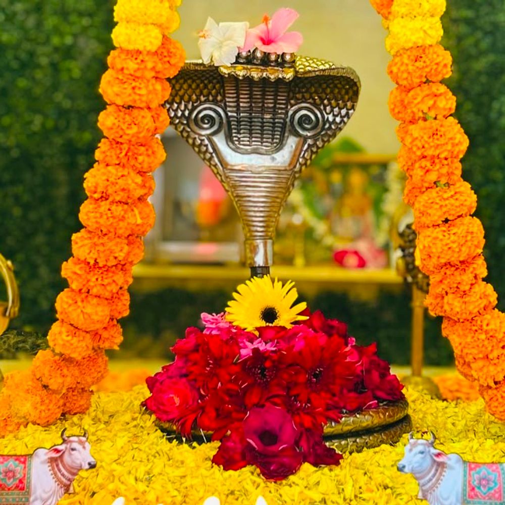 પાટણમાં શ્રાવણના બીજા સોમવારે શિવાલયોમાં વિશેષ પૂજા:ભક્તોએ શિવજીને બિલીપત્ર, દૂધ અને જળ સહિત વિવિધ દ્રવ્યો અર્પણ કરી અભિષેક કર્યો