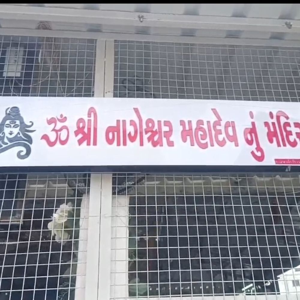 પાટણના નાગેશ્વર મહાદેવને શાકભાજી-ફ્રુટની આંગી કરાઈ:શ્રાવણના બીજા સોમવારે ભગવતીનગર મંદિરમાં વિશેષ દર્શન
