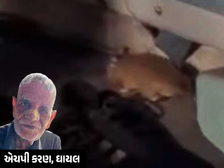 ઉંદરે ફર્સ્ટ AC કોચમાં વૃદ્ધને કરડ્યો: સુરક્ષા સામે પ્રશ્નો