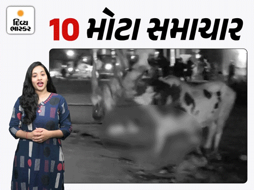 ભાજપના બે જૂથો વચ્ચે ધીંગાણું:ફિશ માર્કેટને પીએમ મોદીનું નામ અપાતા વિવાદ, હાઈકોર્ટે ફગાવ્યા ચૈતર વસાવાના જામીન, યુવતીની હત્યા કરી અઢી લાખની લૂંટ કરી
