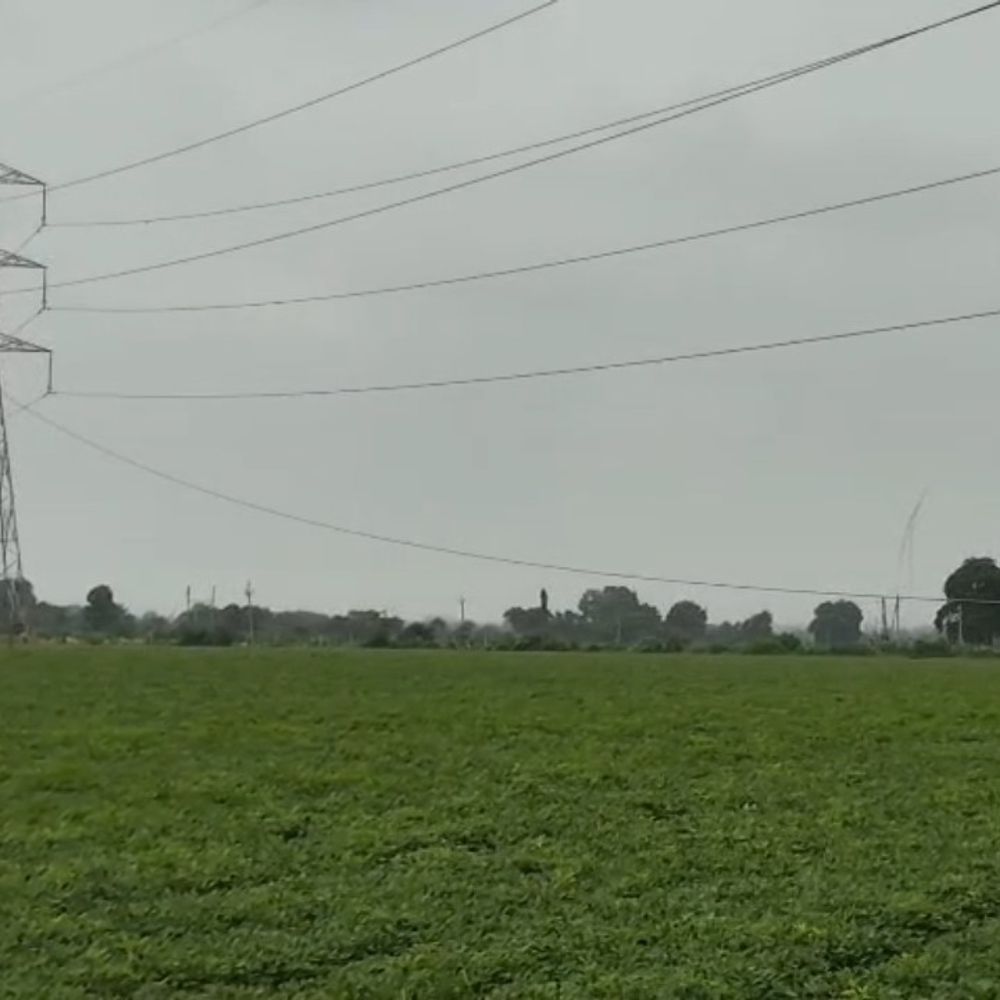 હળવદના સરંભડામાં 220 KV વીજ લાઇનનો વાયર તૂટ્યો:ખેતરમાં વીજ ઉપકરણો બળીને ખાખ, મગફળીના પાકમાં નુકસાન, કોઈ જાનહાનિ નહીં