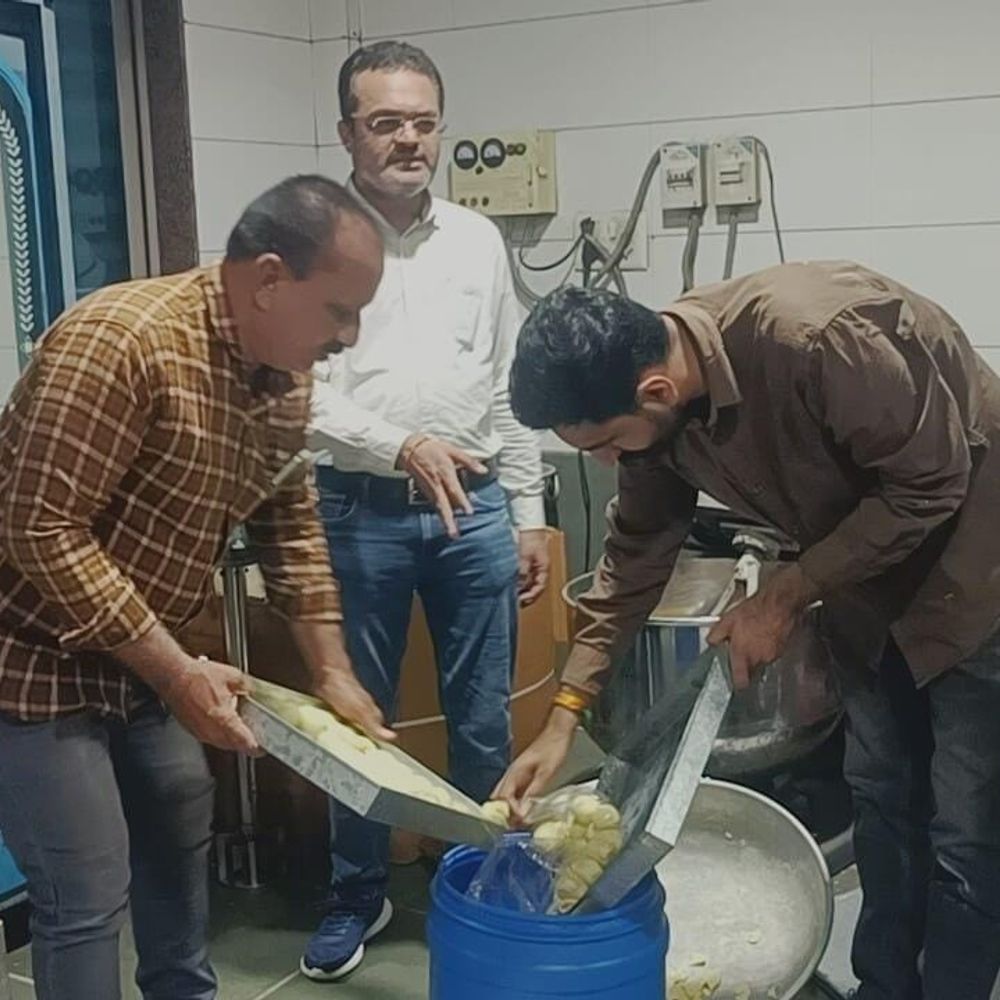 શ્રાવણમાં લોકોની આસ્થા સાથે ગંભીર ચેડાં:રાજકોટમાં ફરાળી પેટીસમાં મકાઈનાં લોટની ભેળસેળની આશંકા, ફૂડ વિભાગે 45 પેઢીઓની તપાસ કરી 206 કિલો વાસી-અખાદ્ય જથ્થાનો નાશ, 11 નમુના લેવાયા