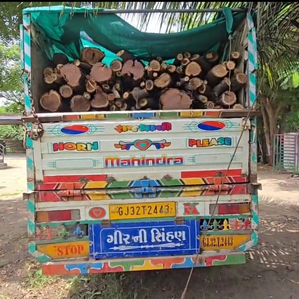 સુત્રાપાડા પંથકમાં શંકાસ્પદ લાકડાંની હેરાફેરી ઝડપાઈ:વન વિભાગે કોડીનારથી પ્રભાસપાટણ તરફ જતી બોલેરોને લાકડાંના જથ્થા સાથે જપ્ત કરી