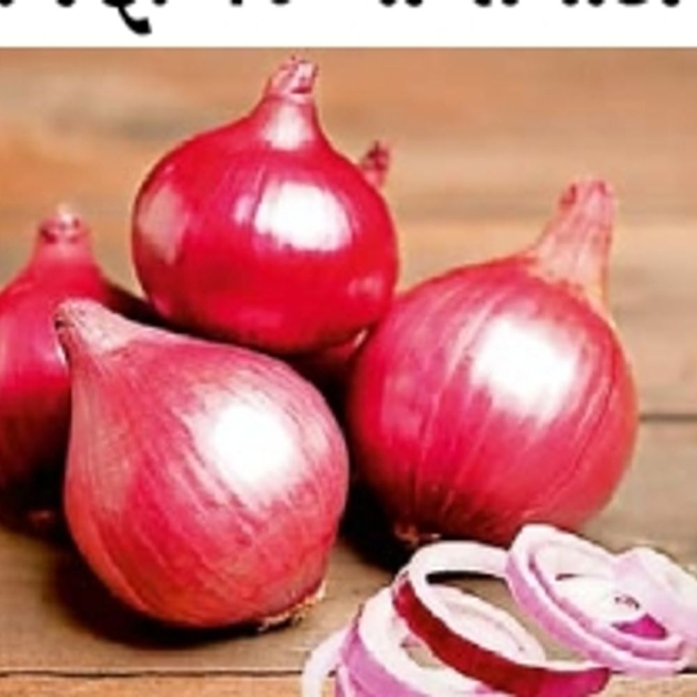 કચ્છમાં ડુંગળીના ભાવમાં મોટો ઉછાળો