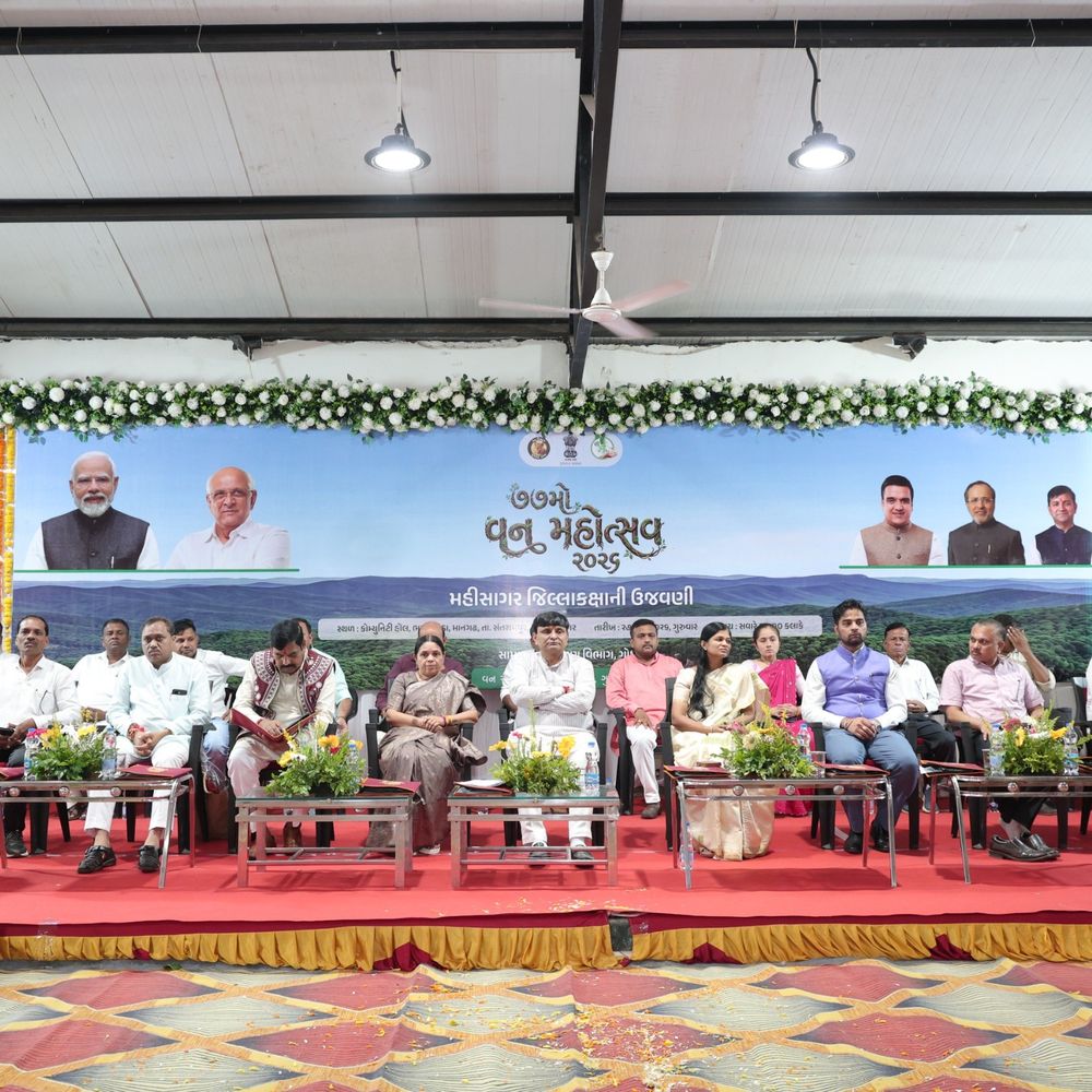 મહીસાગરના માનગઢમાં જિલ્લાકક્ષાના વન મહોત્સવની ઉજવણી:મંત્રી કમલેશ પટેલે વૃક્ષારોપણ અને જતનનો સંકલ્પ લેવડાવ્યો