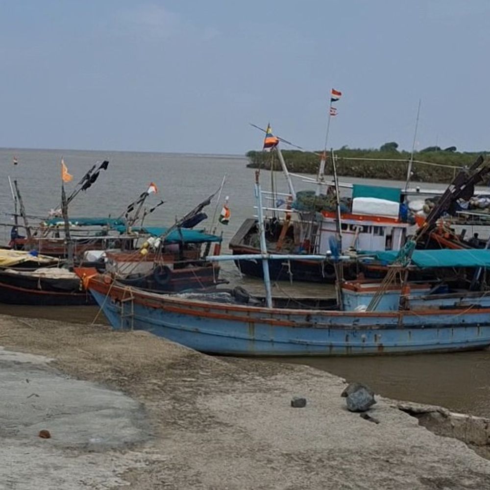 વલસાડના માછીમારોએ નાળિયેરી પૂનમે નવી સીઝન શરૂ કરી:ડીઝલના ભાવ અને જેટીના પ્રશ્ને ચિંતા વ્યક્ત કરી, એક સક્ષમ બંદર બનાવવાની માગ દોહરાવી