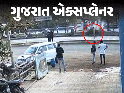 રાજકુમાર જાટ કેસ: પિતાના ઘટસ્ફોટ અને હાઈકોર્ટના સવાલોનું રહસ્ય