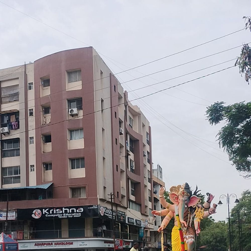 ધાર્મિક તહેવારોમાં પર્યાવરણ સુરક્ષા માટે નવસારી જિલ્લા મેજીસ્ટ્રેટની નવી ગાઇડલાઇન