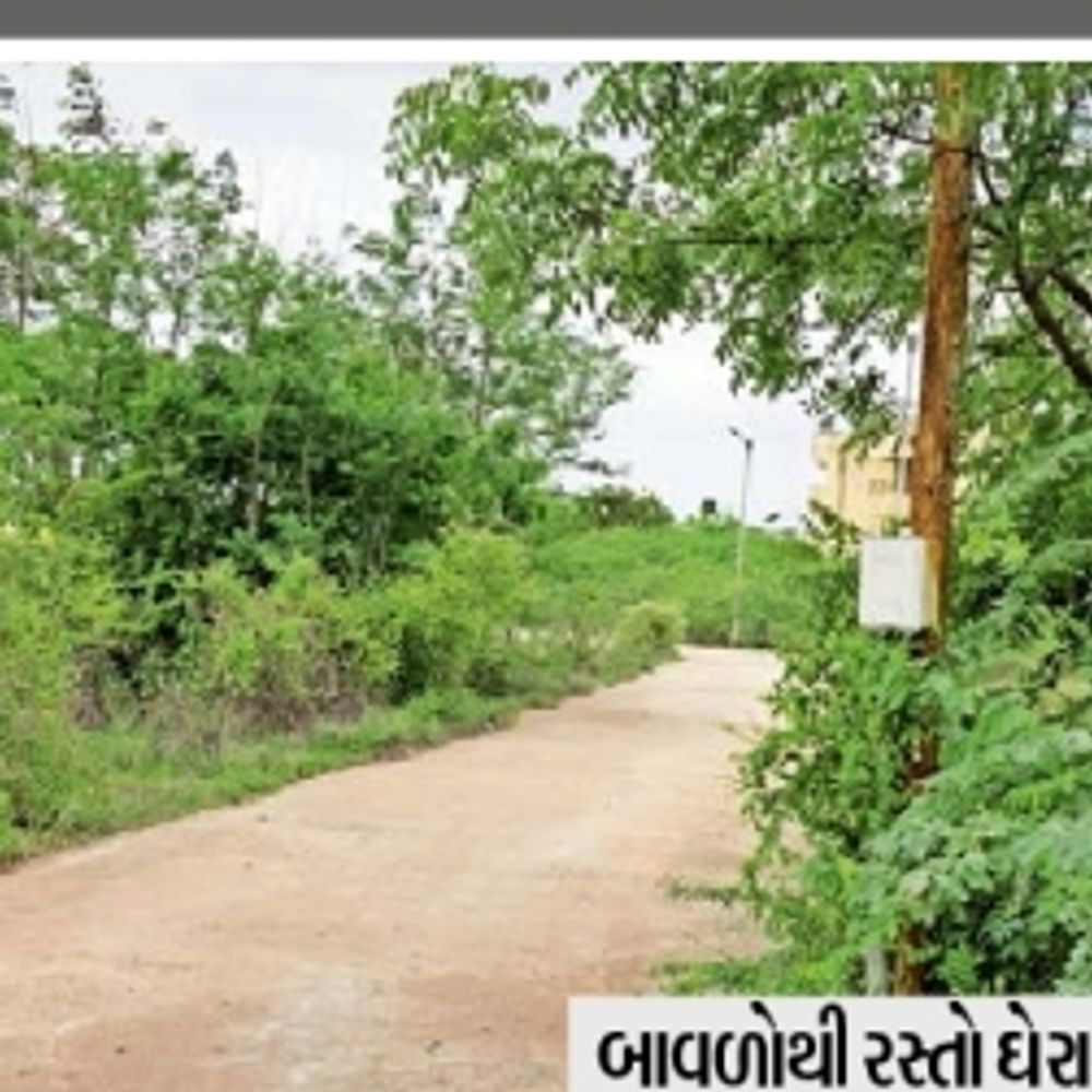 ભુજ પોલિટેકનિક કોલેજના પ્રશ્નો ઉકેલાતા જ નથી!
