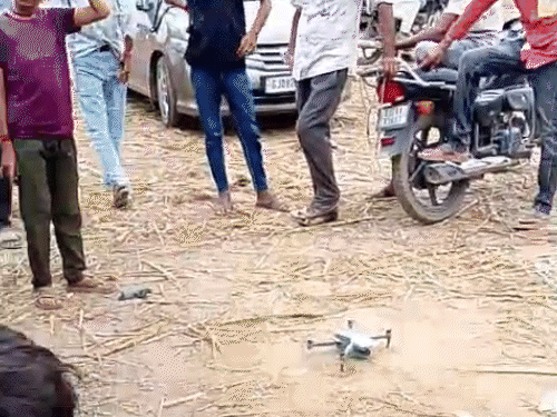 સાંતલપુરના વૌવામાં હિંસક પ્રાણીનો આતંક