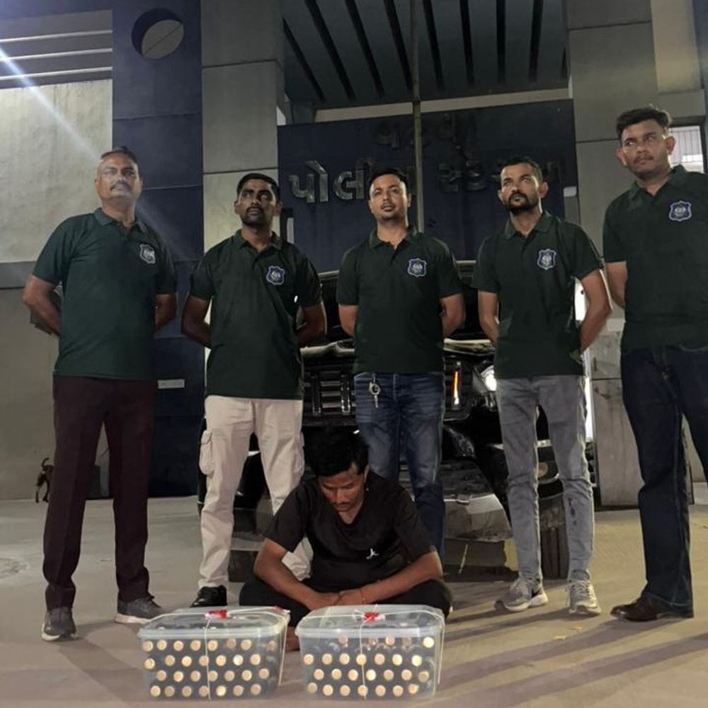 વટવામાં અકસ્માત બાદ સ્કોર્પિયોમાંથી 120 કફ સીરપની જથ્થો ઝડપાયો:એક્ટિવાને અડફેટે લેતા લોકોએ ડ્રાઇવરને ઝડપ્યો, પોલીસને બોલાવતા શખસનો ભાંડો ફૂટ્યો