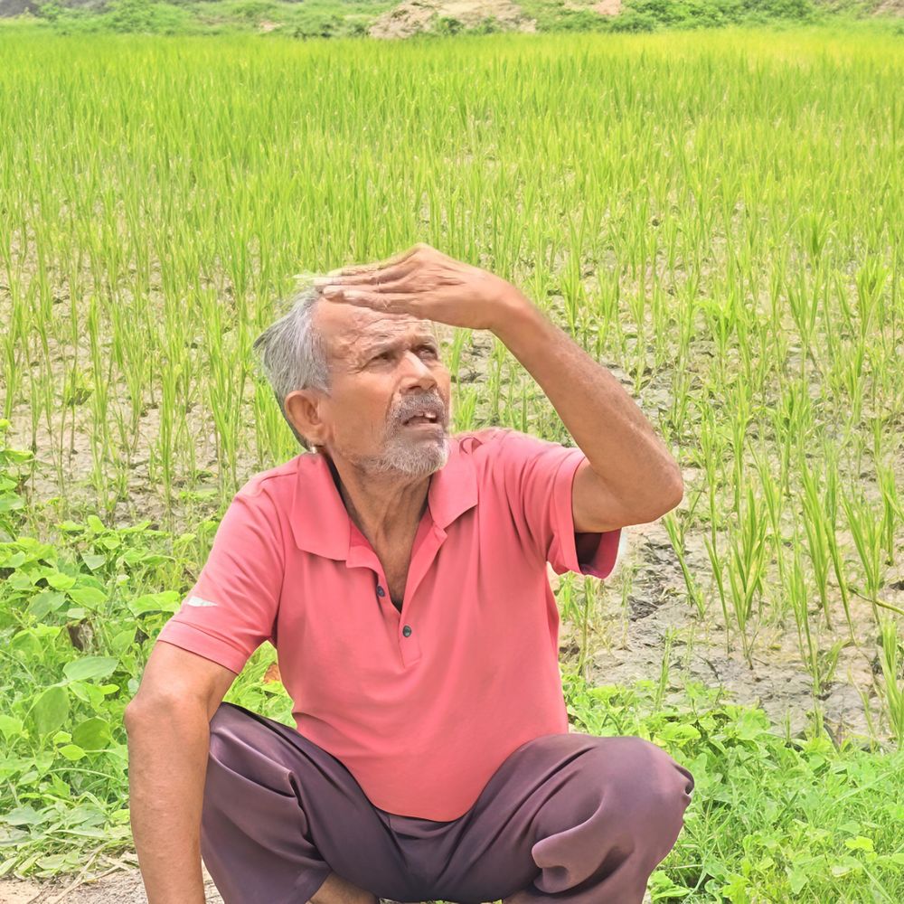 પંચમહાલમાં 15 દિવસથી વરસાદ નહીં, 54 હજાર હેક્ટરમાં મકાઈ પાક પર સંકટ