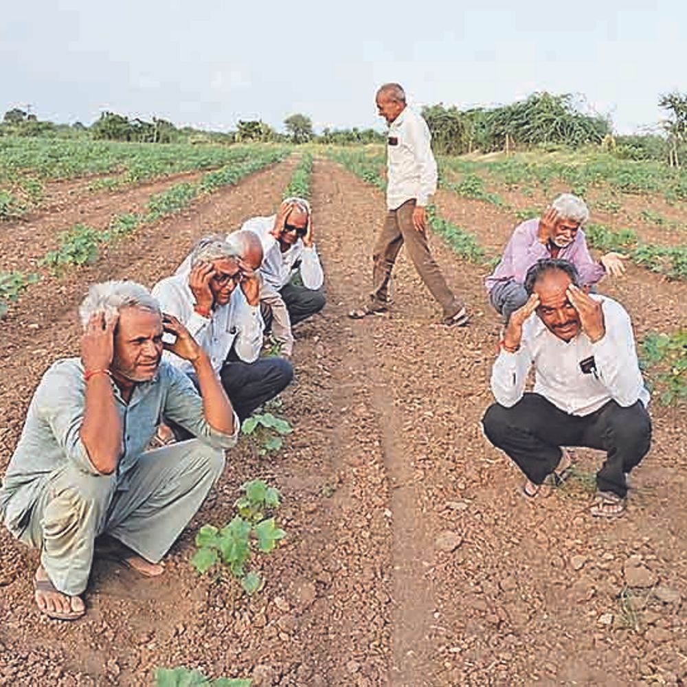 અમરેલીમાં વાવણી બાદ વરસાદ ખેંચાતા પાક પર સંકટ!