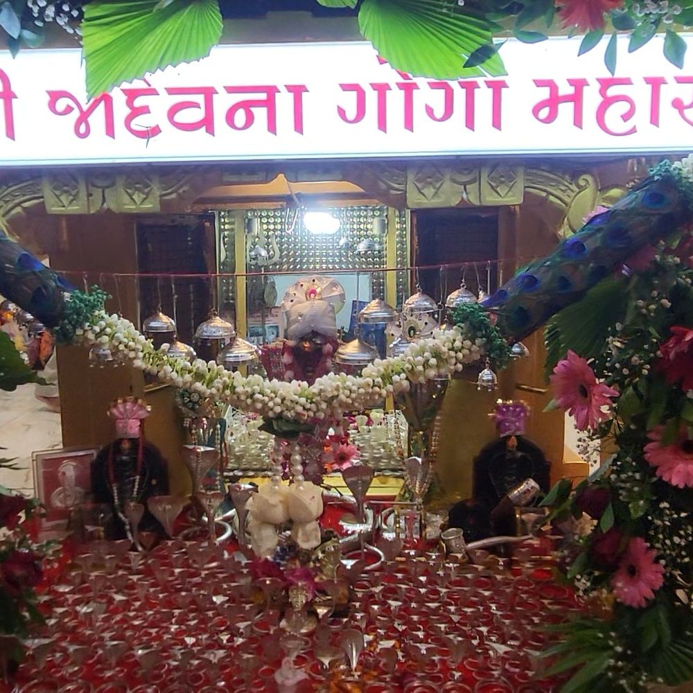 ગોગાધામ ગારૂડી ધામે નાગપંચમીએ ભક્તો ઉમટ્યા:મોડાસામાં જાદવના ગોગા મહારાજના દર્શન માટે લાગી લાંબી કતારો