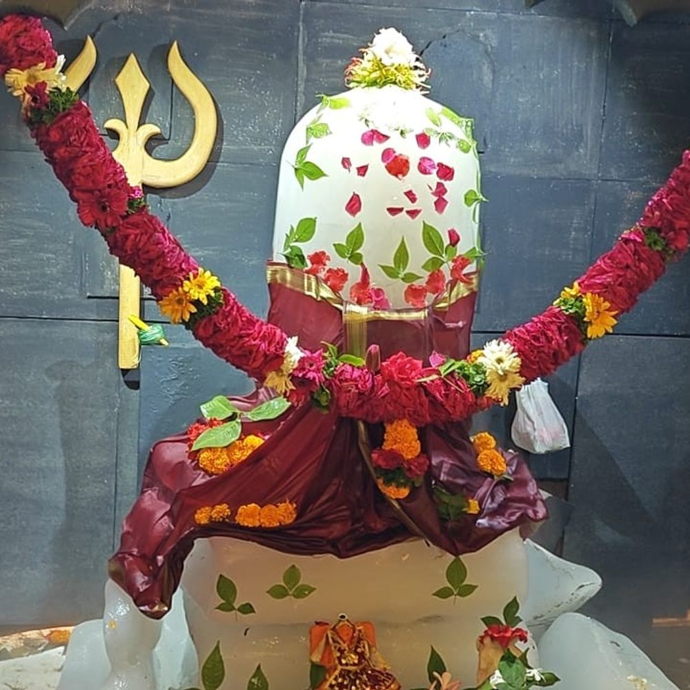 છાત્રોડામાં શ્રદ્ધાળુઓ કરશે બાબા અમરનાથ બર્ફીલી ગુફાના દર્શન:સતત 19 વર્ષથી છત્રેશ્વર-પત્રેશ્વર મહાદેવ મંદિરે આયોજન, વૃક્ષ વિતરણ અને રક્તદાન કેમ્પ યોજાશે