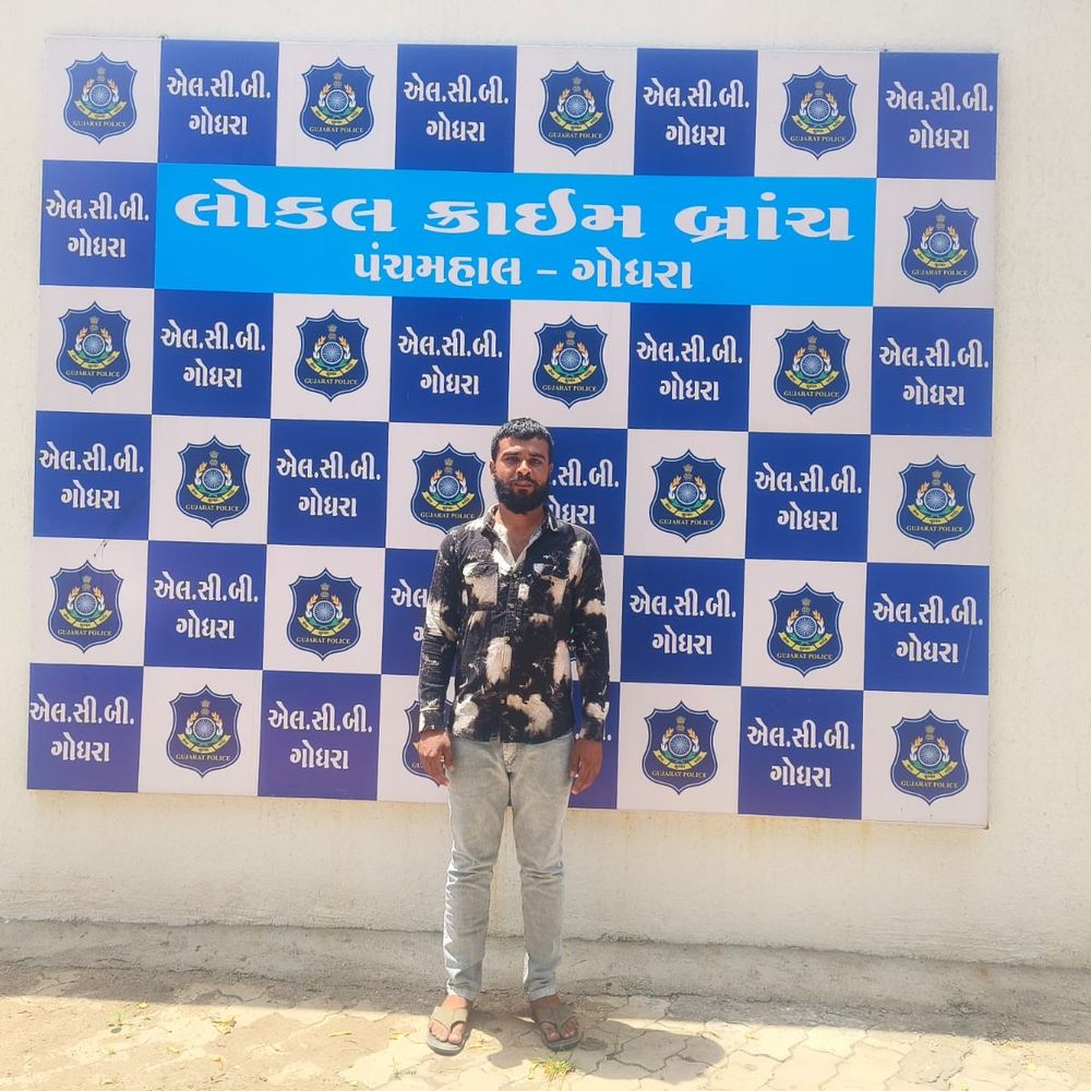 પંચમહાલમાં સાયબર ઠગોએ નિવૃત્ત ASI અને કંપનીના ₹29 લાખ પડાવ્યા:હાલોલ GIDCમાં બેંક એકાઉન્ટ હેક કરીને ₹14.02 લાખ, ASIને 'ડિજિટલ અરેસ્ટ'નો ડર બતાવી ₹15 લાખ ઠગ્યા