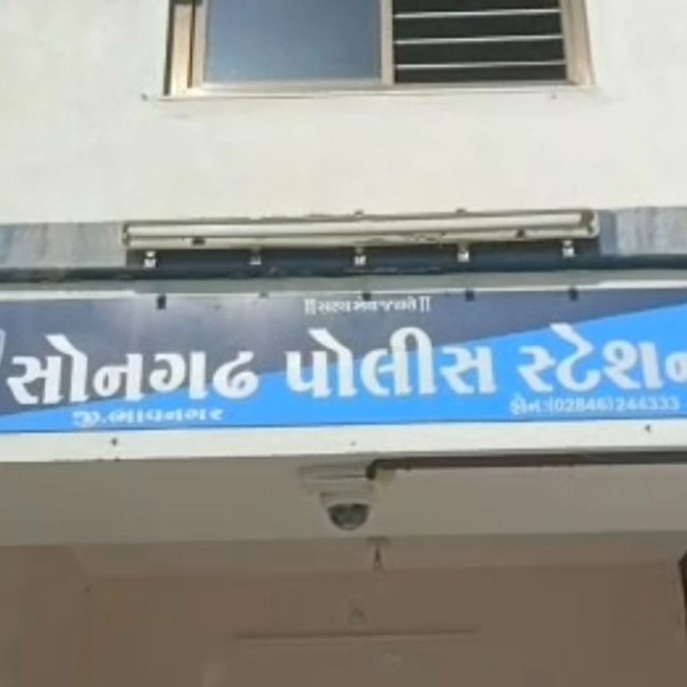 પીપરલા રિઝર્વ જંગલમાં 4 શખસની દાદાગીરી, ફોરેસ્ટગાર્ડને ધમકી:જંગલના ઘાસમાં 120 માલઢોર ચરાવવા બાબતે ટોકતાં ફરજ રૂકાવટ કરી, ફરિયાદ નોંધાઈ
