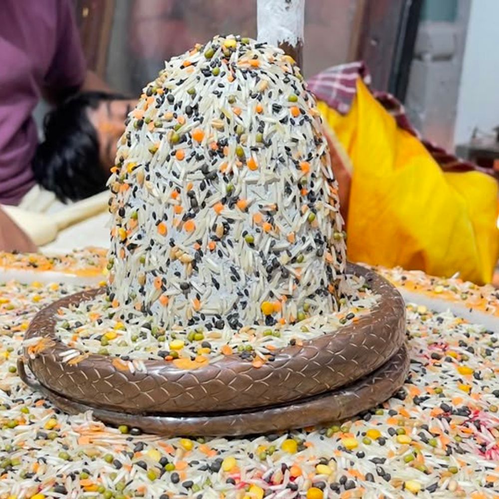 પાટણના છત્રપતેશ્વર મહાદેવ મંદિરે ત્રિદિવસીય મહારુદ્ર યજ્ઞ:મંદિરના 250 વર્ષ પૂર્ણ થવા પર કાર્તિકી પૂર્ણિમાએ 11 કુંડી યજ્ઞ યોજાશે, સંપૂર્ણ શિવપરિવારવાળુ મંદિર