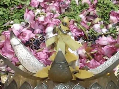 દેશભરમાં જન્માષ્ટમીની ભવ્ય ઉજવણી