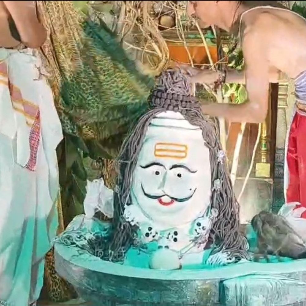 કૃષ્ણેશ્વર મહાદેવ મંદિરે ઉજ્જૈન મહાકાલ શૈલીમાં ભસ્મારતી યોજાઈ:શ્રાવણના છેલ્લા સોમવારે સુરેન્દ્રનગરના કૃષ્ણનગરમાં હજારો ભક્તો ઉમટ્યા