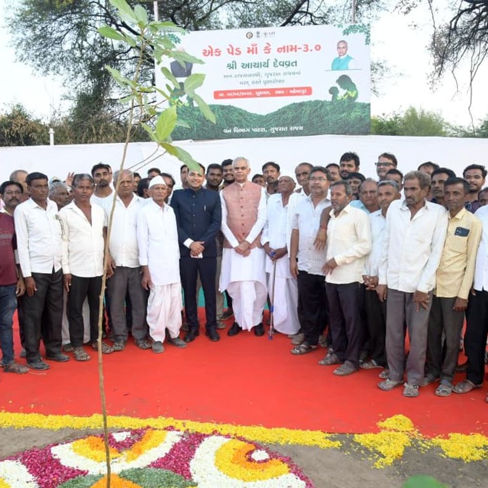 પાટણના મહેમદપુરમાં રાજ્યપાલ આચાર્ય દેવવ્રતનો પ્રવાસ:એક પેડ મા કે નામ 3.0 અંતર્ગત વૃક્ષારોપણ, રાજ્યપાલે ઝાડૂ પકડી શ્રમદાન કર્યું
