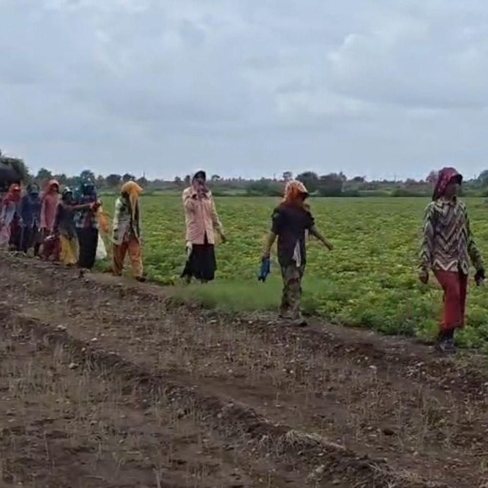 ગીર સોમનાથમાં વરસાદ ખેંચાતા ખેડૂતોની ચિંતા વધી:મગફળી, સોયાબીન, કપાસ નિર્ણાયક અવસ્થામાં; 8-10 દિવસમાં વરસાદ ન આવે તો મોટું નુકસાન