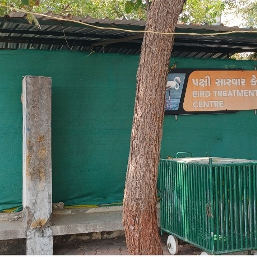 ઓગસ્ટમાં 115 ઘાયલ પશુ-પક્ષી સારવાર કેન્દ્ર પહોંચ્યા