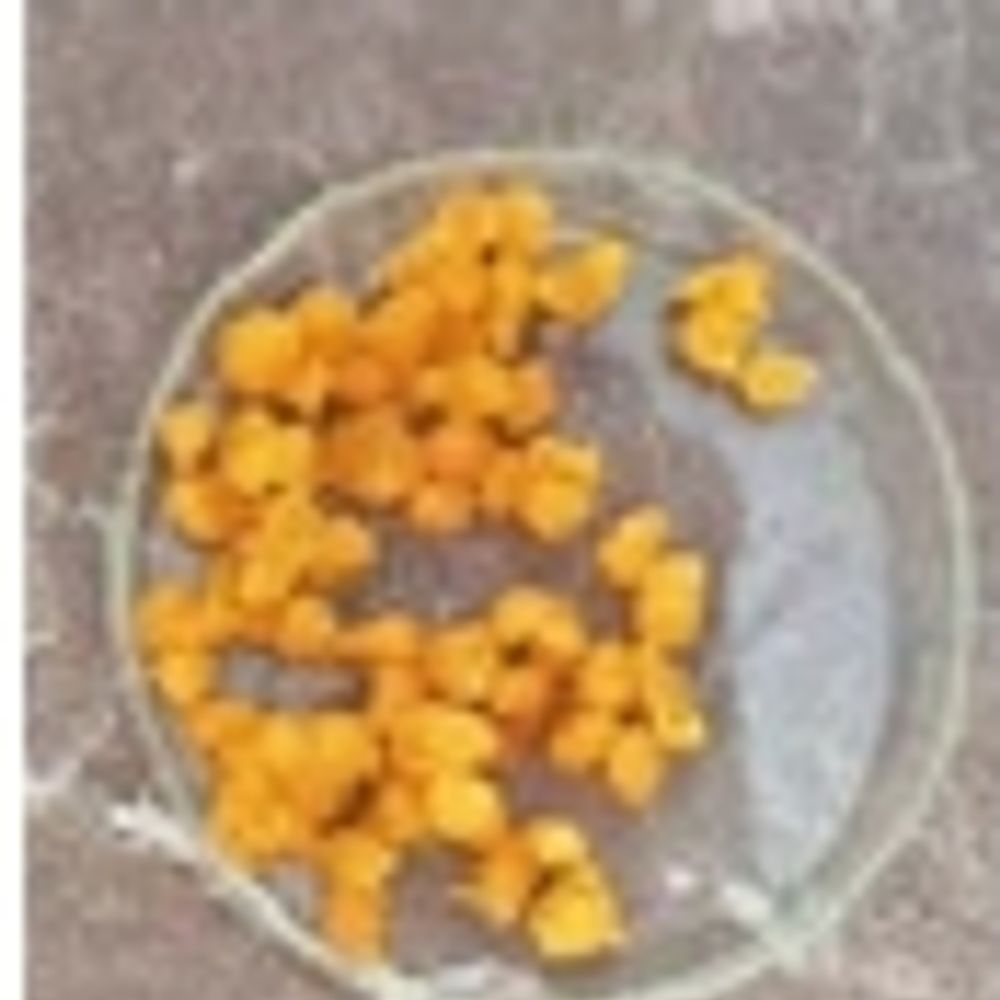 વેપારીઓ માટે 'ફૂડ રેપિડ ટેસ્ટ કિટ' ટ્રેનિંગ